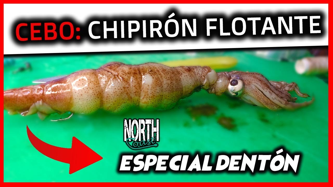 CEBO CHIPIRÓN (flotante) Aparejo para  DENTON con 2 anzuelos en piedra