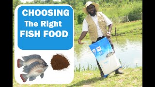 Fish Farming-How To Choose A Great Fish Food