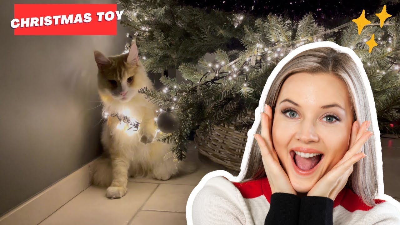 Maine Coon vs. Christmas Tree: Epic Holiday Destruction!