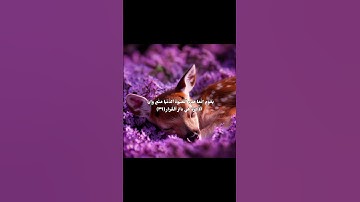 سورة غافر آية (39) #قرآن #عبدالباسط_عبدالصمد #اللهم_صل_على_محمد_وال_محمد