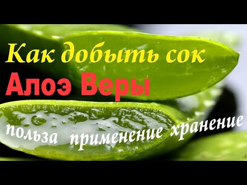 АЛОЭ ВЕРА получение сока, применение, хранение!