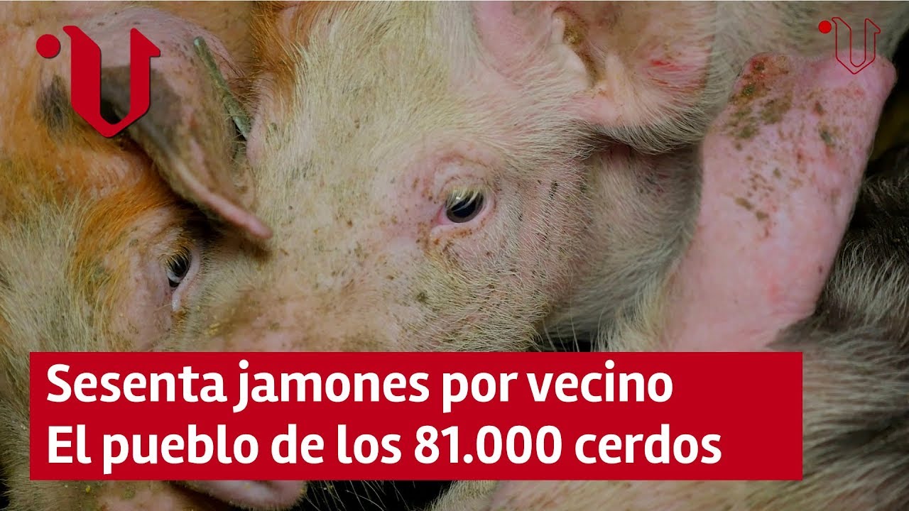 Rodeiro, el concello con sesenta jamones por cada vecino