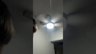 @CeilingFanDude778 collab with flower socket fan 