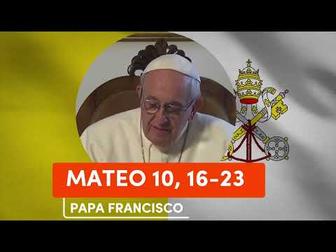 🙏 PAPA FRANCISCO - Reflexion del EVANGELIO MATEO 10, 16-23 |▷ 14 de JULIO de 2023