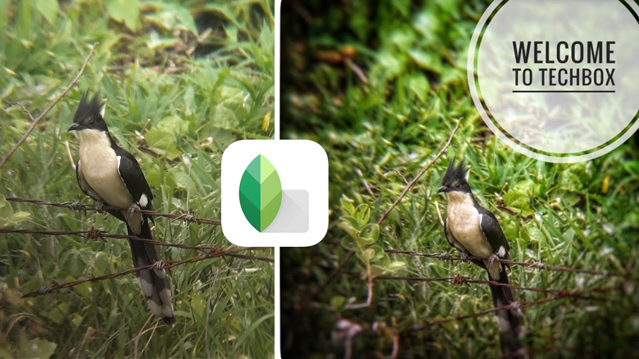snapseed healing tutorial snapseed healing tutorial