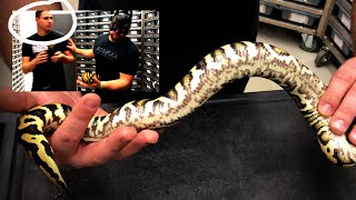 Celebrity Something I've never shown you... Batman returns. Wealth