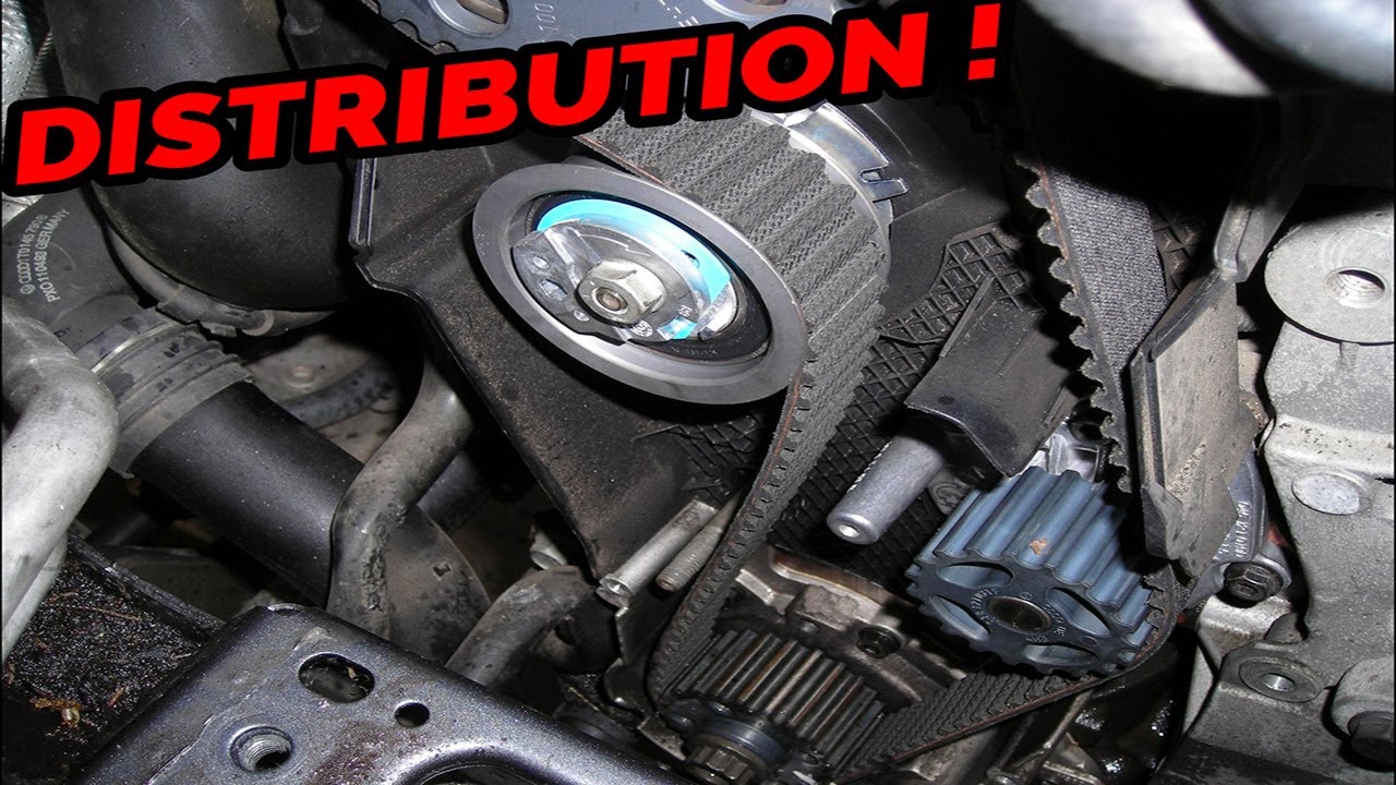 studio Mona Lisa en tissu courroie de distribution golf 4 tdi 130