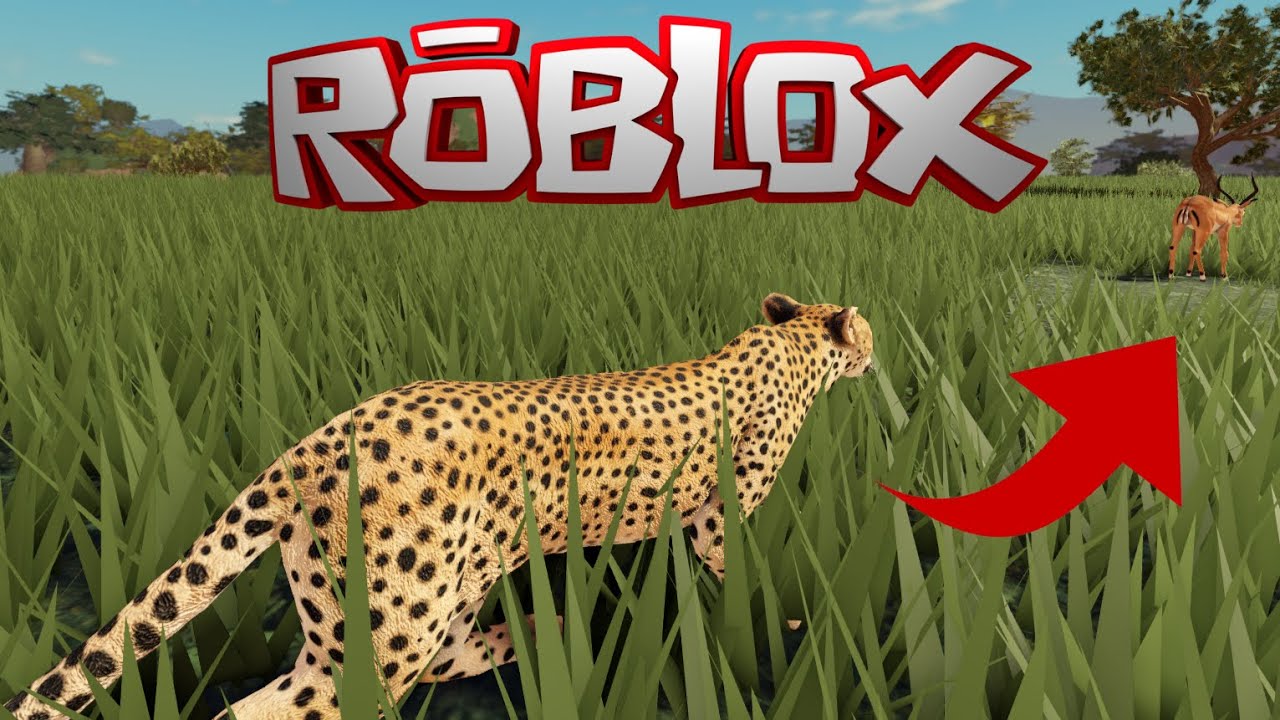 CORRA SE PUDER ! SAVANNAH LIFE da ROBLOX gameplay de GUEPARDO (CHEETAH) #roblox #savannahlife