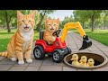 Mama Cat Trims Fur on the Farm and Makes Tiger Hat For Kittens At Home🐾🎩🐯