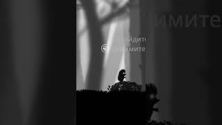 Ежик в тумане. Прыжок #games#hedgehog#fog#animation#grey#игра#ежик#туман#game#indie#black#videogames