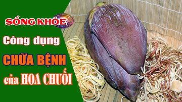 [Sống Khỏe] Tác Dụng Không Ngờ Của Hoa Chuối