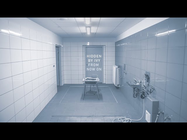 Hidden By Ivy - From Now On