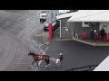 Woodbine Mohawk Park Qualifiers - Monday, March 31, 2025