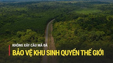 Không xây cầu Mã Đà, bảo vệ khu sinh quyển thế giới | Truyền hình Quốc hội Việt Nam