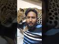 sudden tiger entry | tiger attack | AI generated vedio #shorts #comedy #funny #entertainment