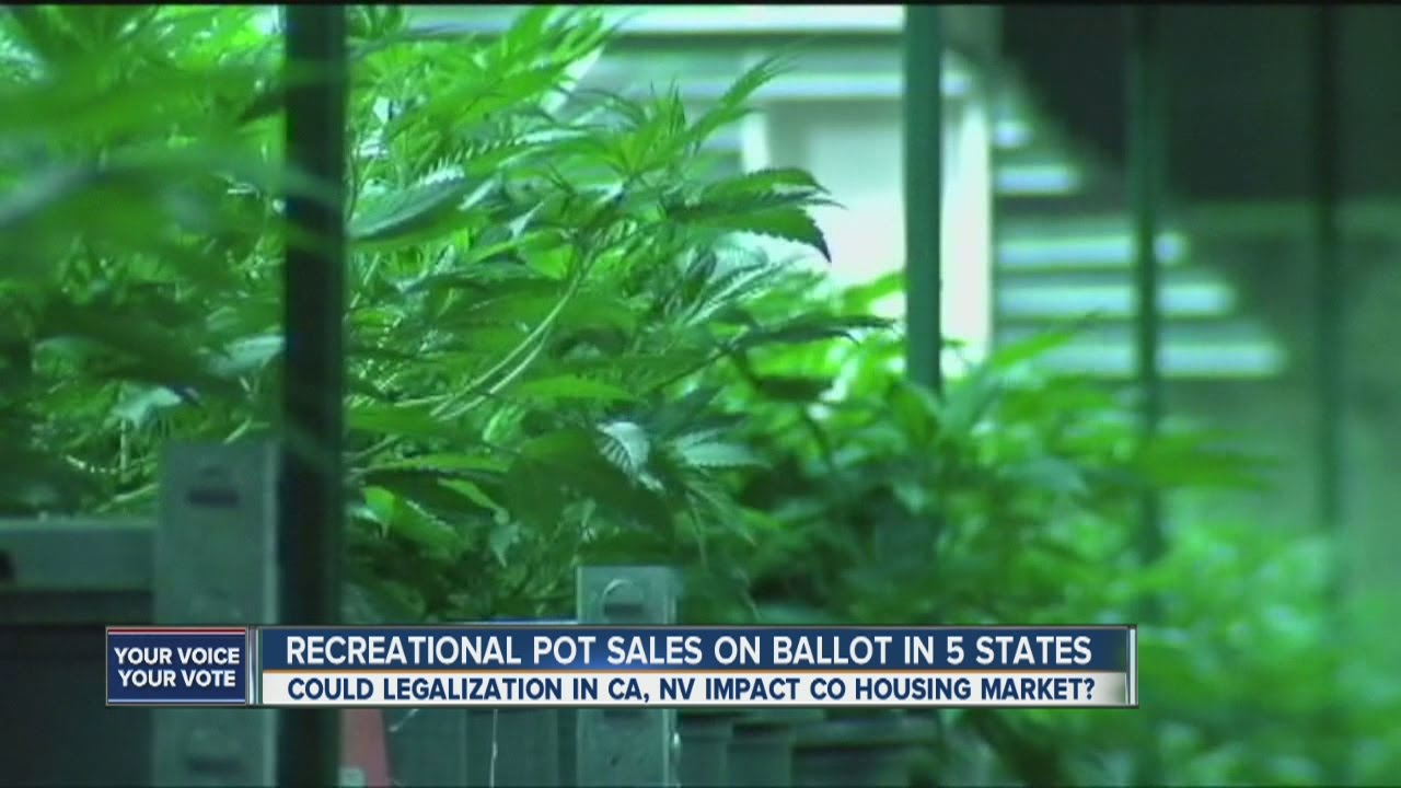 How the spread of legal weed could impact Colorado home prices