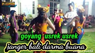 lagu percuma janger bali bumbung bali #jangerbali #tribudaya