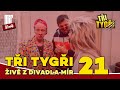 TŘI TYGŘI živě z Divadla Mír #21