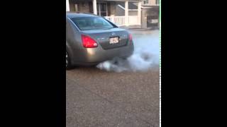Seafoam Madness 2005 Nissan Maxima Smokes Out The Neighborhood