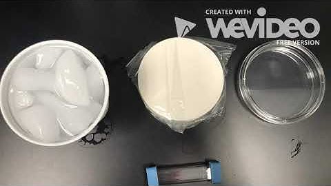 Physiology of the Circulatory System - STEM SOS PBL Level 2 Project