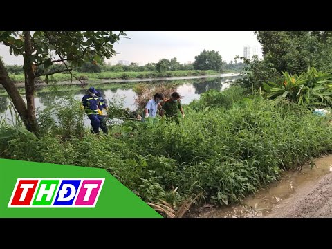 Video TP.HCM: Phát hiện thi thể một phụ nữ mặc đồ Phật tử... - youtube