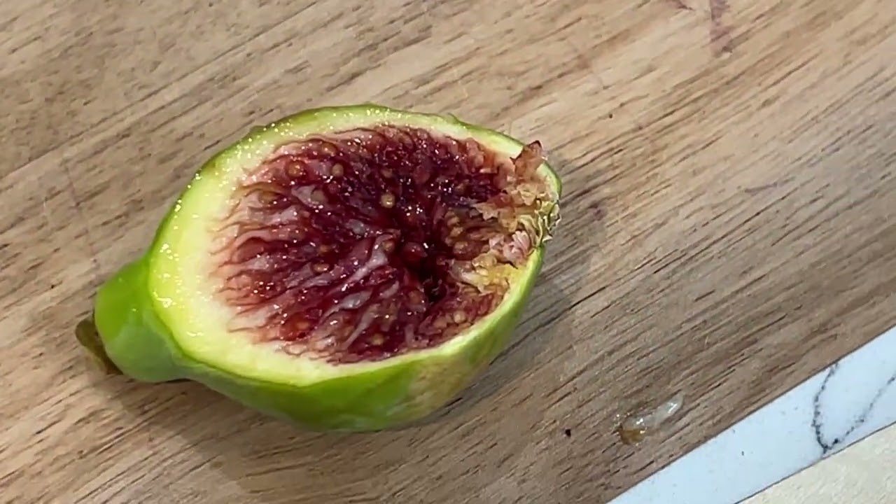 Cessac Fig Taste Test 2025