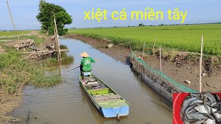 sáng sớm vào đồng gặp anh xiệt cá quá nhiều cá ngon. cuộc sống mưu sinh vất vả by mập trang miền Tây 6,262 views 11 days ago 18 minutes