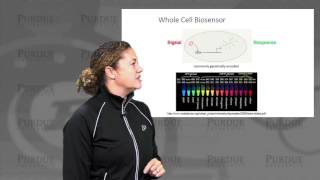 nanoHUB-U Biodesign L5.4: Cellular Devices - Cells as Biosensors II