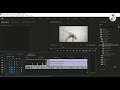 របៀបកាត់តវីដេអូរ មេរៀន Premiere(08)
