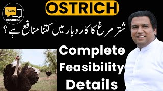 Download lagu How to Start Ostrich Farming in Pakistan - Profit Ratio Explained (Part 2)
