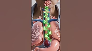 What Really Happens Inside Your Body When You Eat Plum | 3D Animation #animation