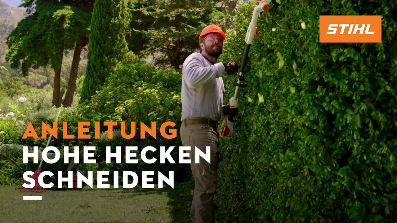 Hohe Hecke scheiden