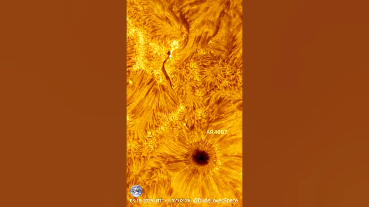Solar Flare Close Up! Sunspot AR4087 Captured With My Telescope #astronomy #space #solarsystem