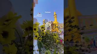 #yaali #haider #moulaali #subscribe #shiastatus #najafraja 🙌🏻❤️