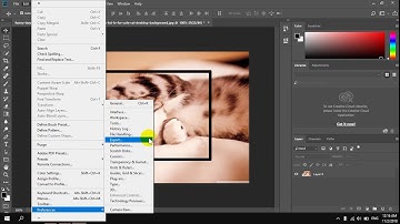 How To Enable Use Graphics Processor in Photoshop CC