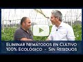 🌱 Cómo Eliminar los NEMÁTODOS 🦠 AGRICULTURA ECOLÓGICA 🌱 Ozono