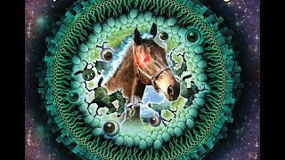 Horse Destroys the Universe  Now on Sale