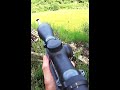農家の大敵 野生ザル駆除 #shorts