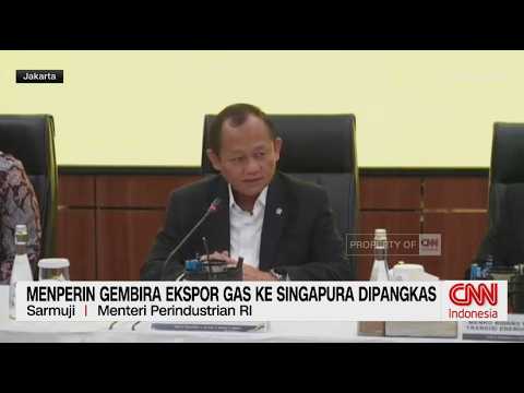 Menperin Gembira Ekspor Gas ke Singapura Dipangkas