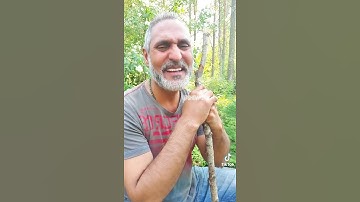 القارئ عمر هشام العربي