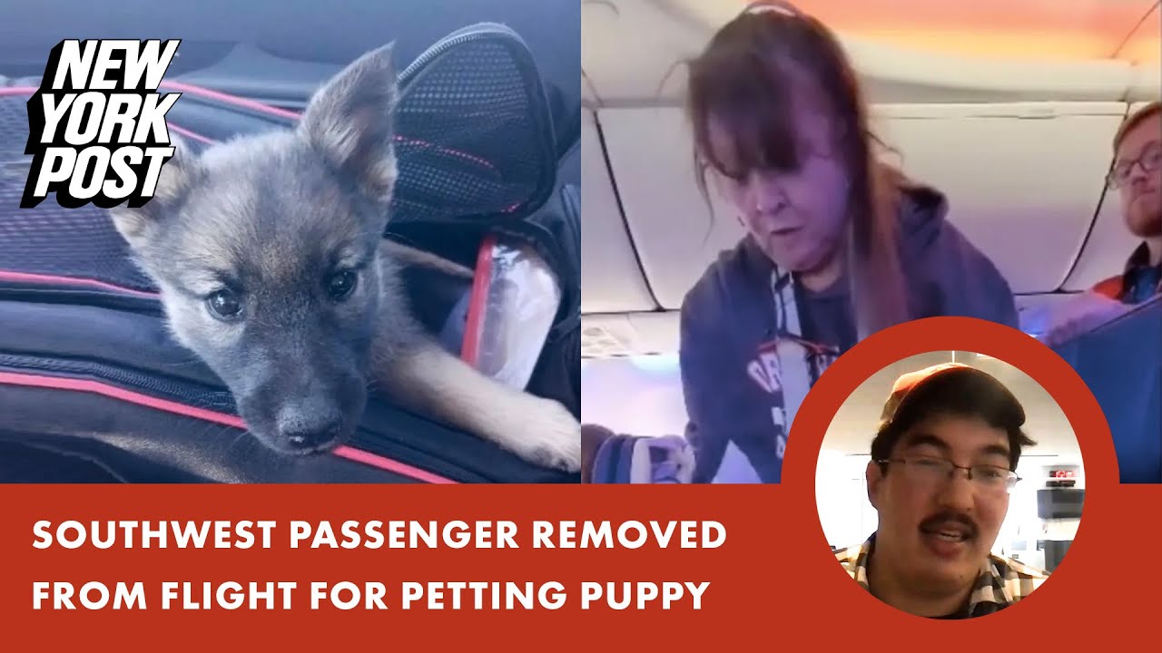 Southwest passenger allegedly escorted off plane for petting new puppy