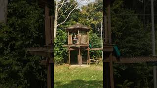 2024 Chaguaramas Ziplining with Sebastian II