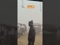 Prayagraj ☃️⛄️❄️#shorts #ytshorts #viral #deepakdkn8604
