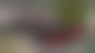 CARA KAWIN TUPAI ,LAKINYA GAK MAU LEPAS JALAN SAMBIL GOYANG😀😂😂