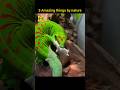 Amazing things by nature #viral