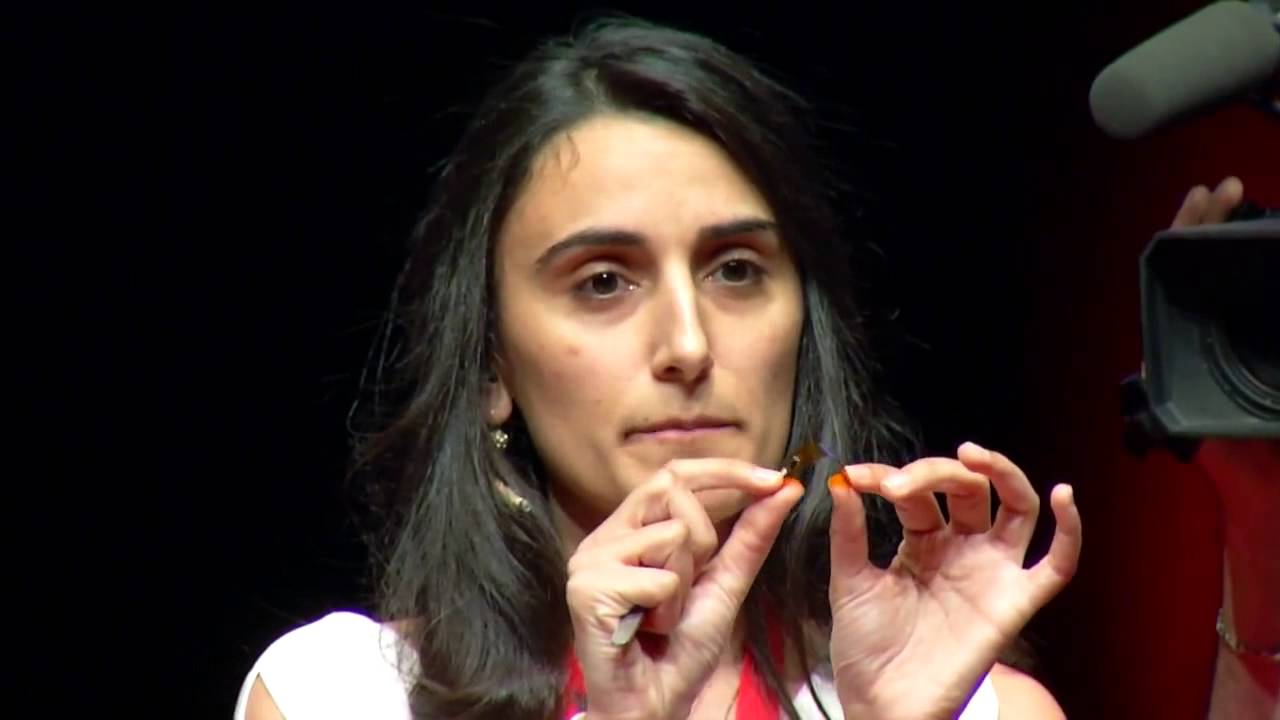 Canan Dağdeviren at TEDxReset 2014 - YouTube