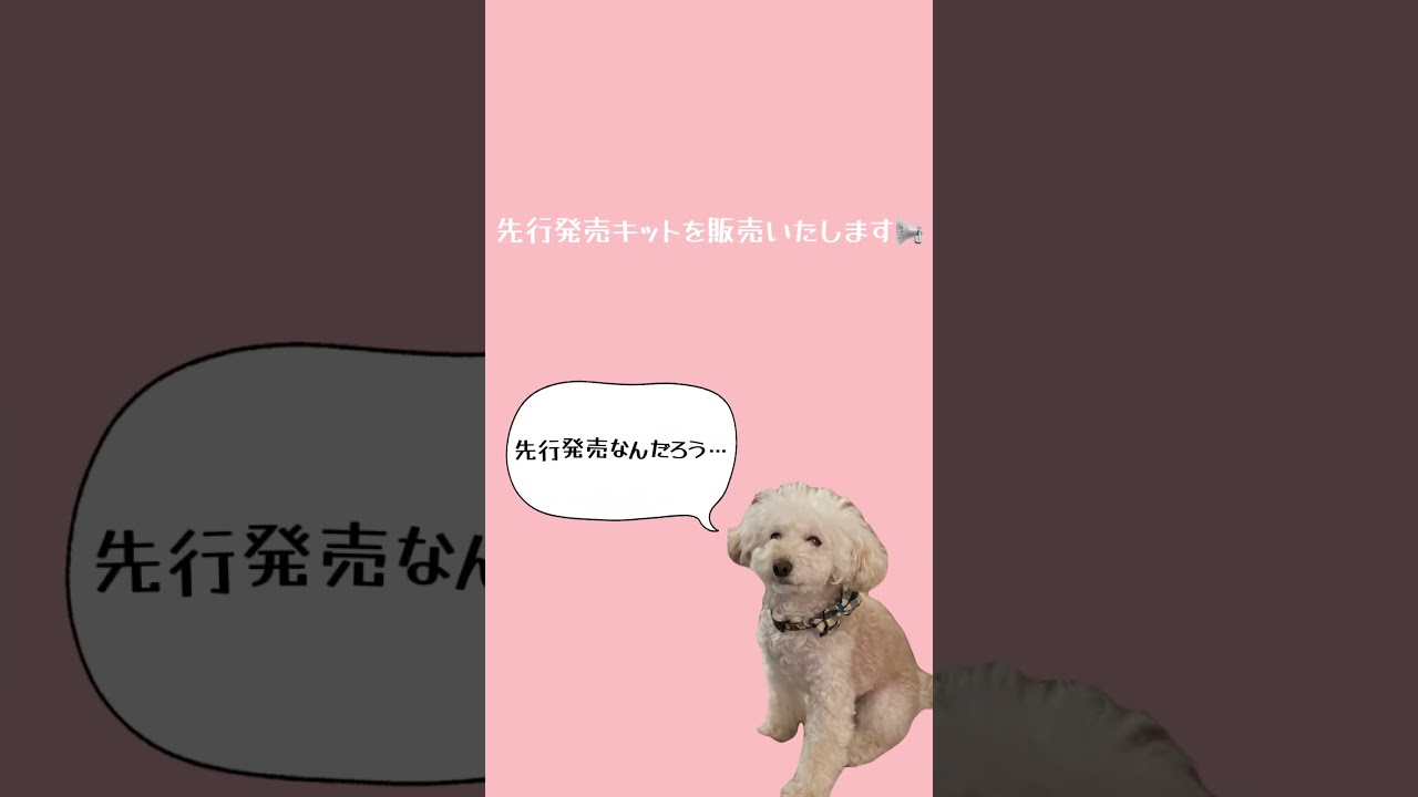 こうの早苗パッチワークスクール作品展、先行発売キットについて - YouTube