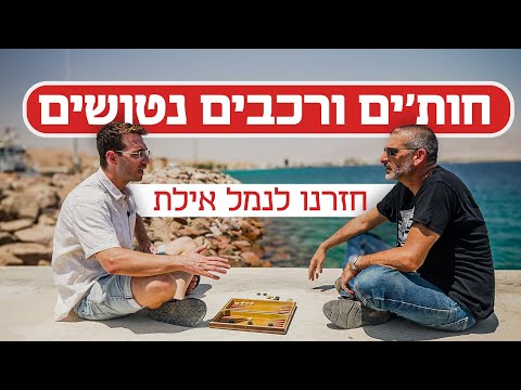 רכבים לא נפרקו באילת מאז נובמבר, אז מדוע הנמל עדיין מלא במכוניות?