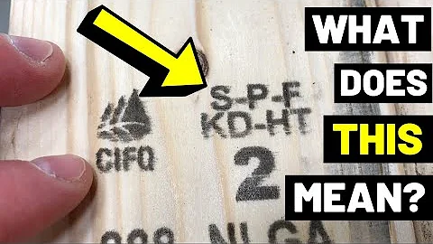 Jak se soustředit na borůvky?