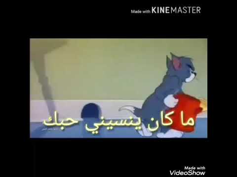 اجمل حالة واتس اب حزين عن توم جيري